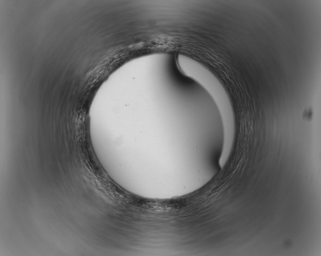 X0000116040601200912111441