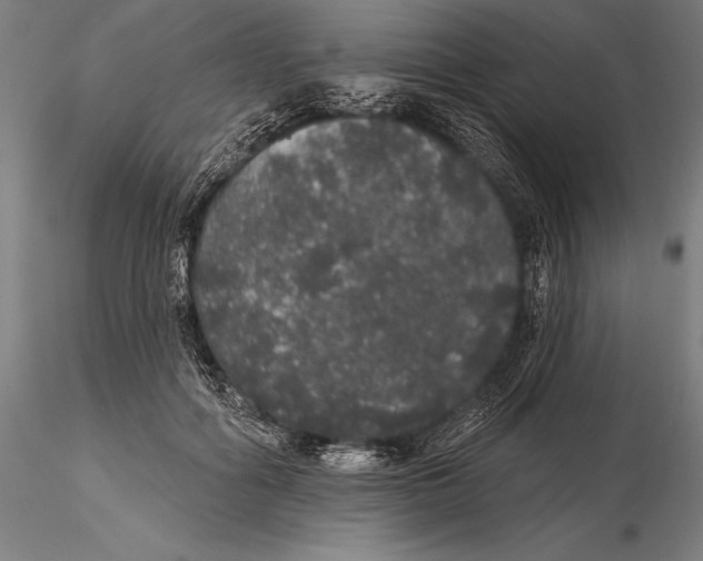 X0000116040602200912111441