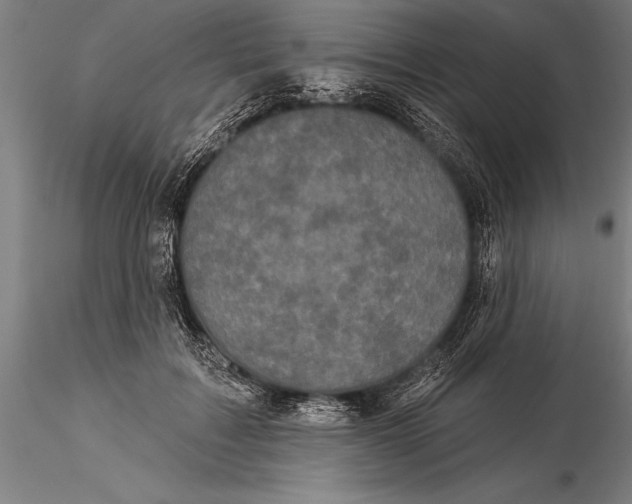 X0000116040603200912111441