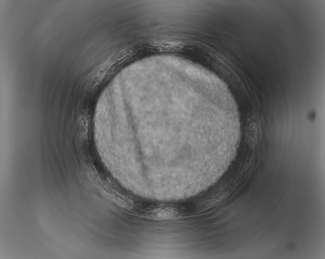 X0000116040604200912111441