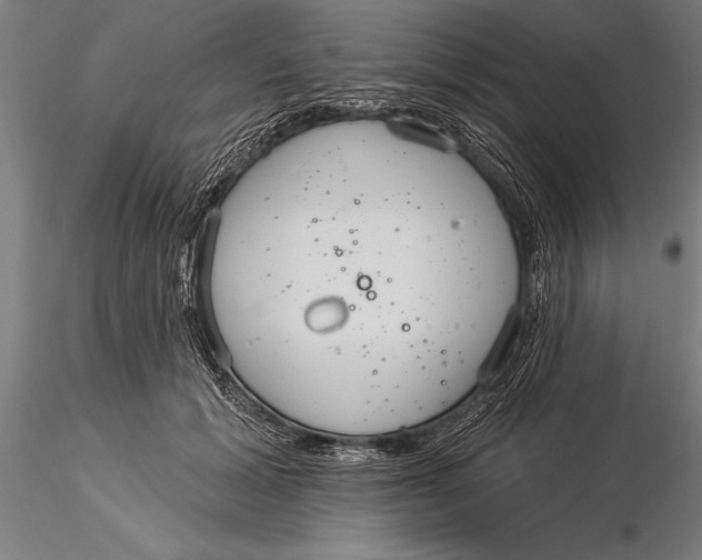 X0000116040605200912111441