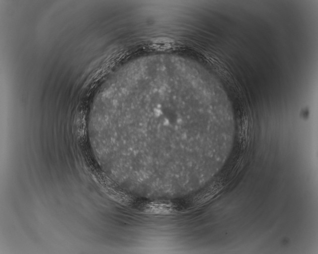 X0000116040606200912111441