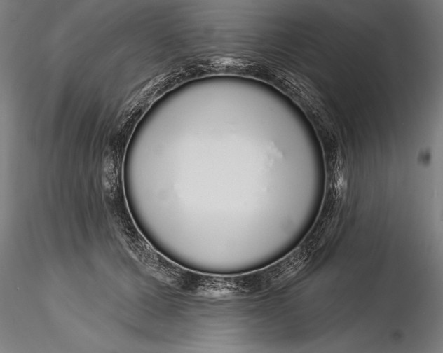 X0000116040607200912111441