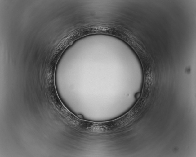 X0000116040608200912111441