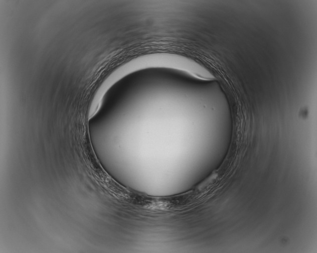 X0000116040609200912111441