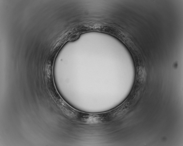 X0000116040612200912111441