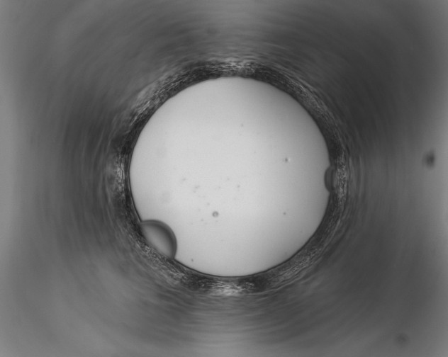 X0000116040613200912111441