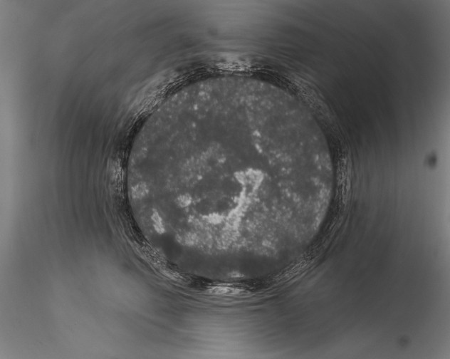 X0000116040614200912111441