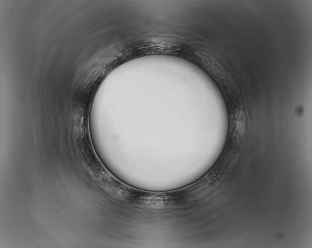 X0000116040615200912111441