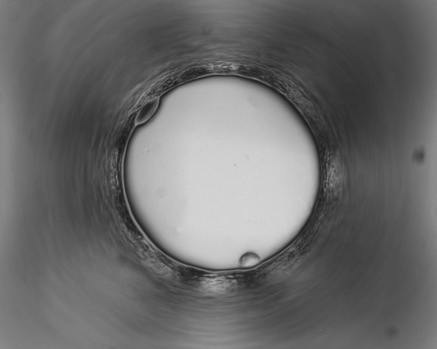 X0000116040616200912111441