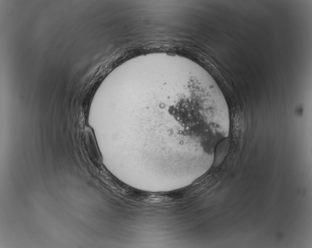 X0000116040617200912111441