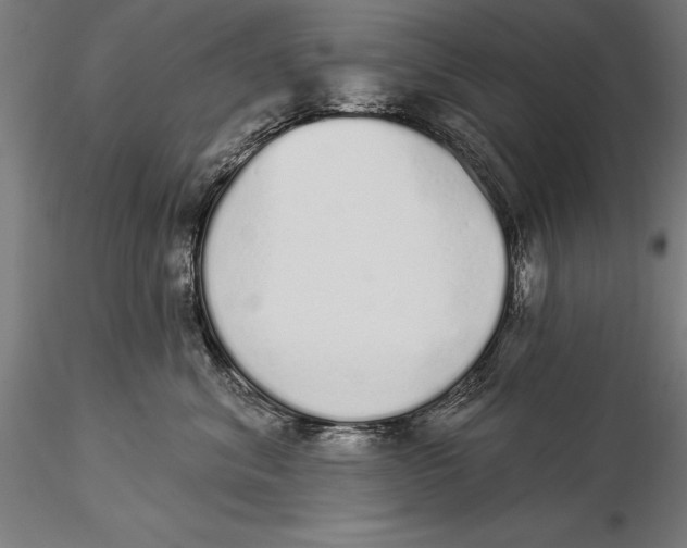 X0000116040620200912111441