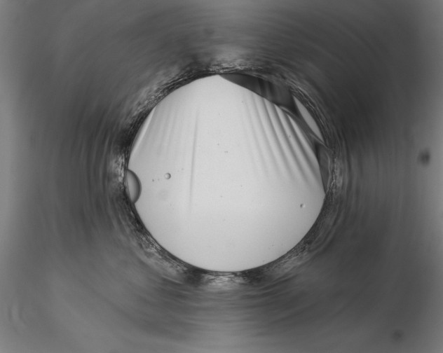 X0000116040621200912111441