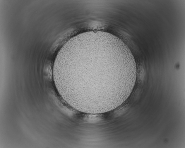 X0000116040622200912111441