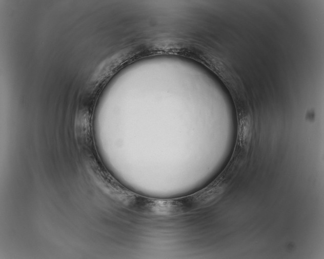 X0000116040623200912111441