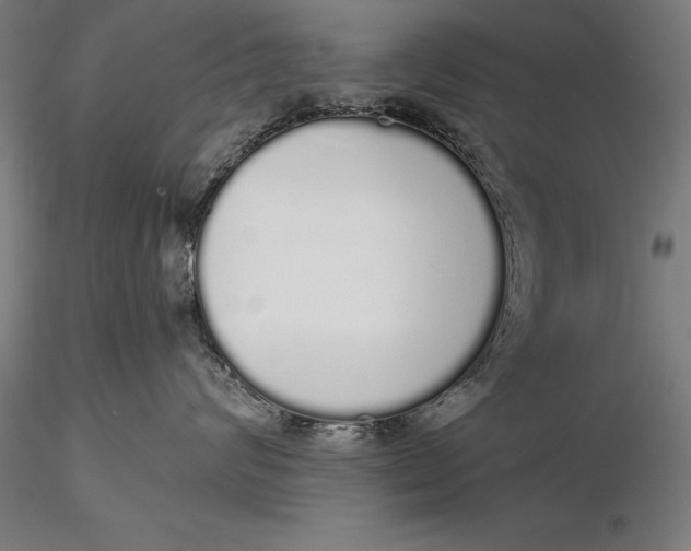 X0000116040624200912111441