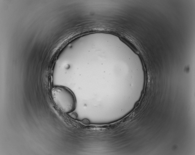 X0000116040626200912111440