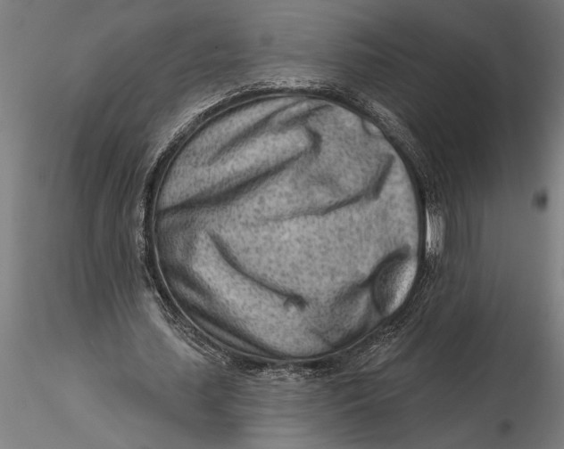 X0000116040627200912111440