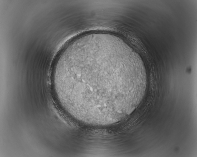 X0000116040628200912111440