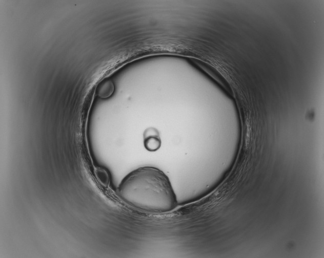 X0000116040630200912111440