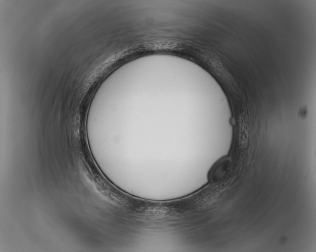 X0000116040631200912111440