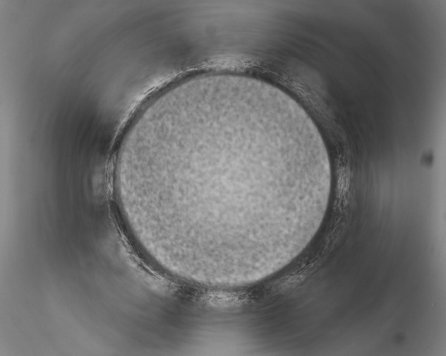 X0000116040632200912111440