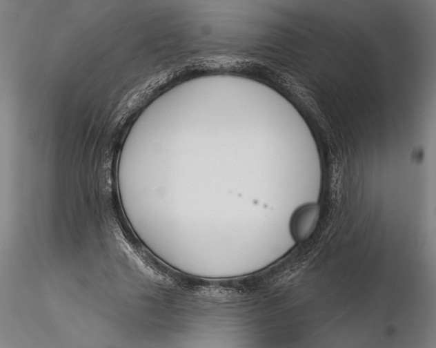 X0000116040633200912111440