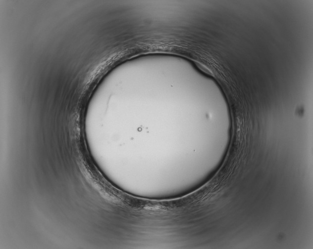 X0000116040634200912111440