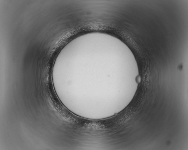 X0000116040635200912111440