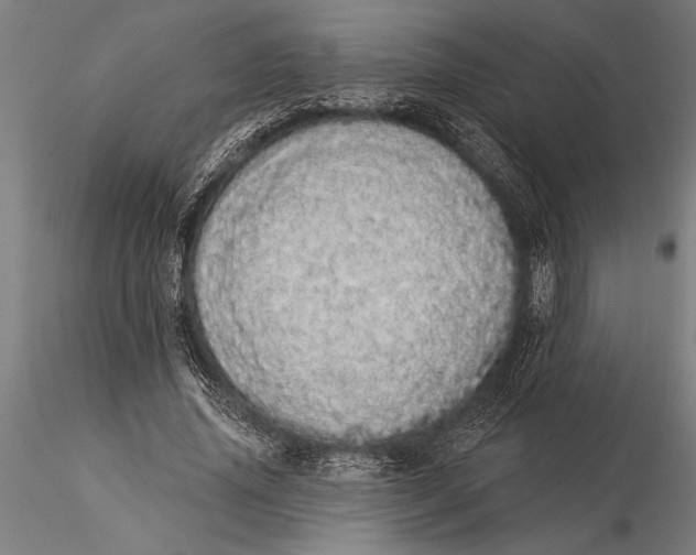 X0000116040636200912111440