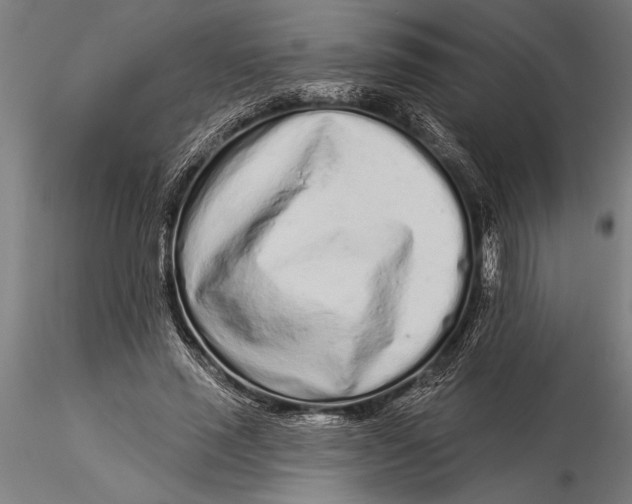 X0000116040637200912111440