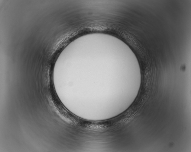 X0000116040638200912111440