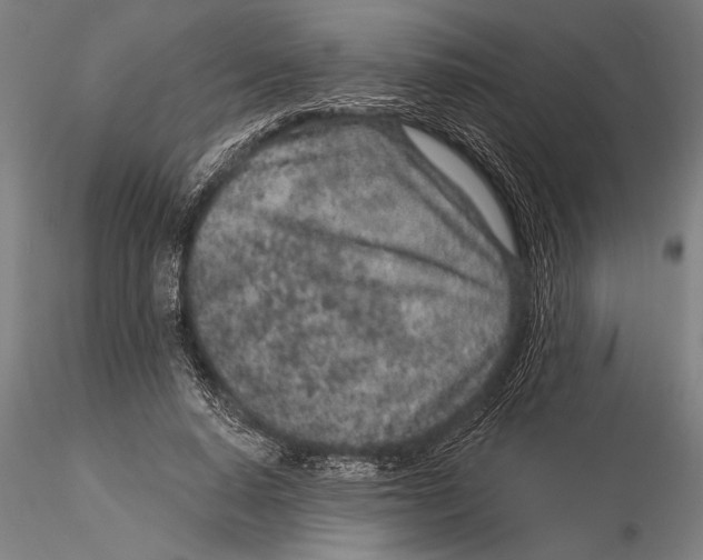 X0000116040640200912111440