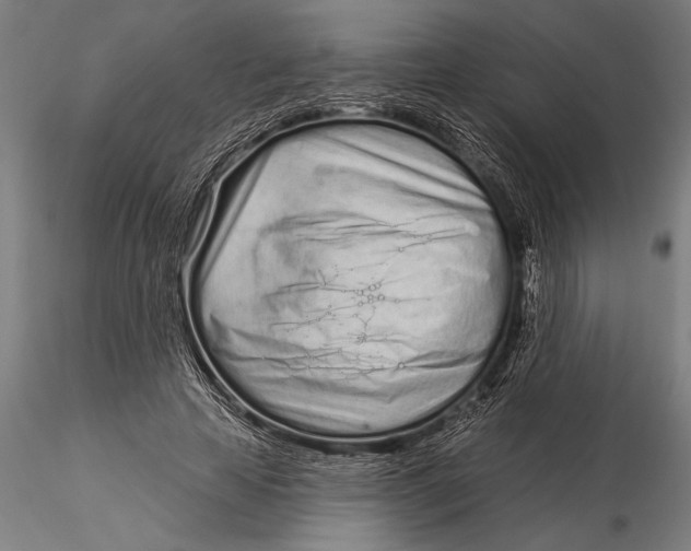 X0000116040641200912111440