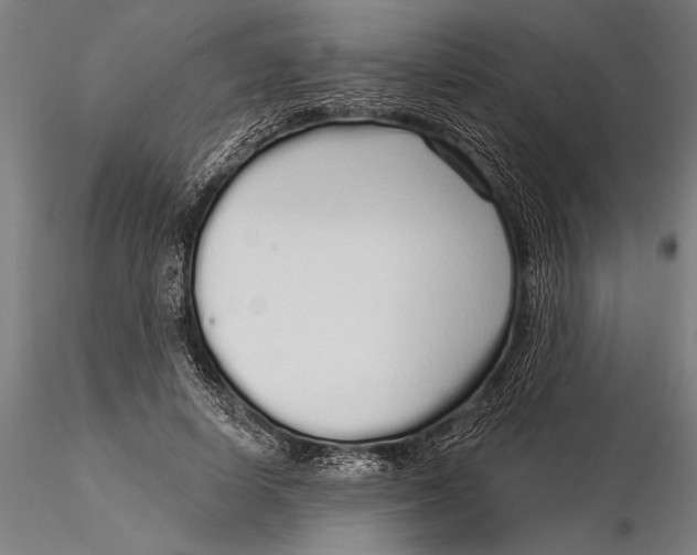 X0000116040642200912111440