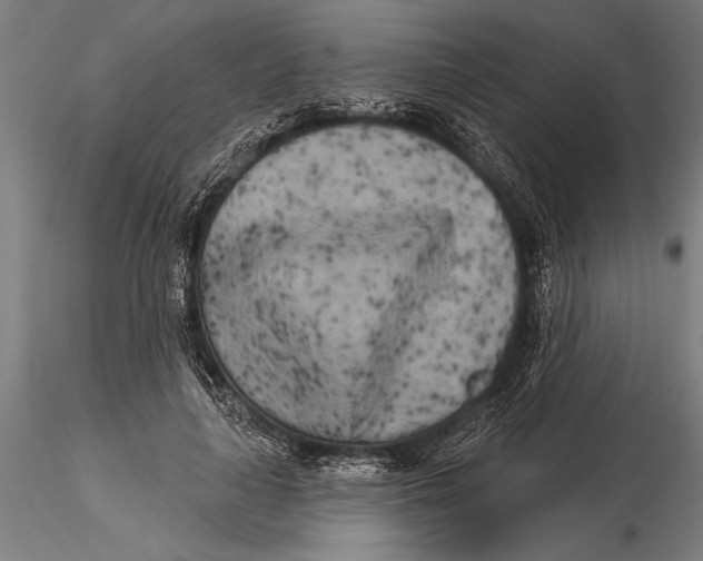 X0000116040643200912111441