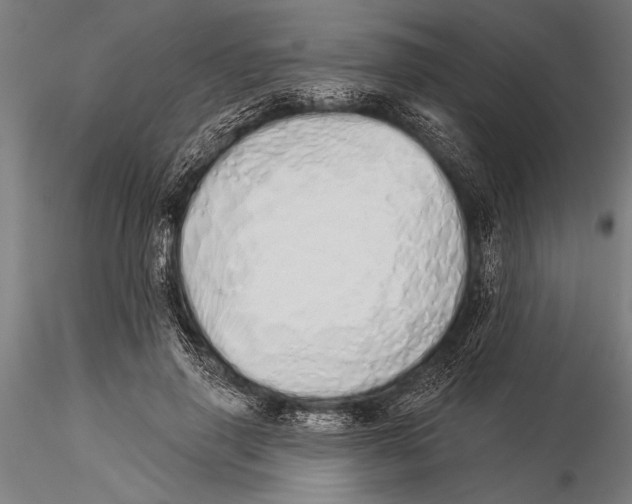 X0000116040645200912111441