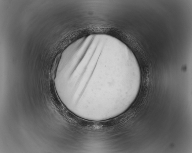 X0000116040647200912111441