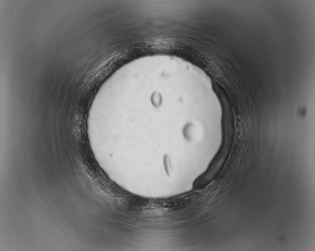 X0000116040648200912111441