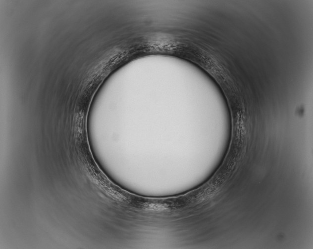 X0000116040649200912111441