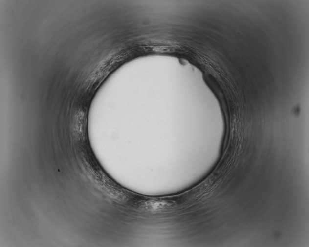 X0000116040650200912111441