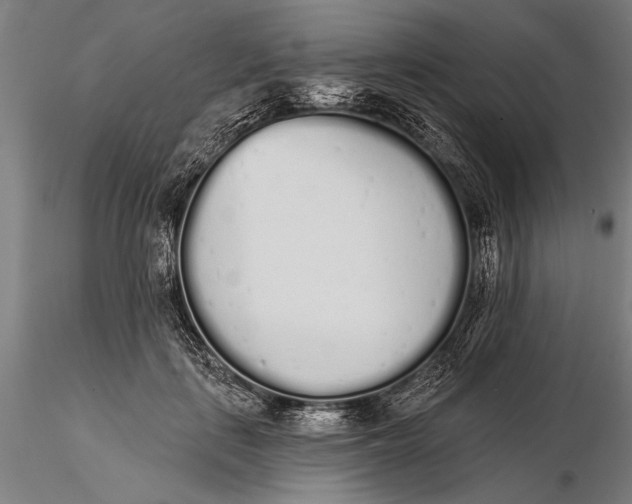 X0000116040651200912111441