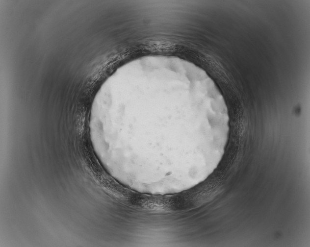 X0000116040652200912111441