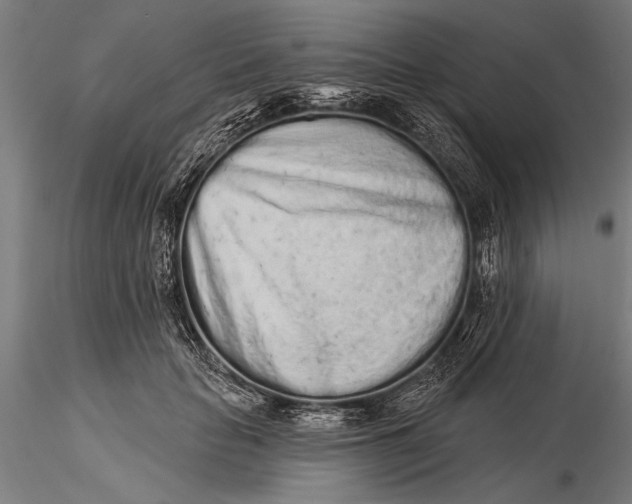 X0000116040653200912111441