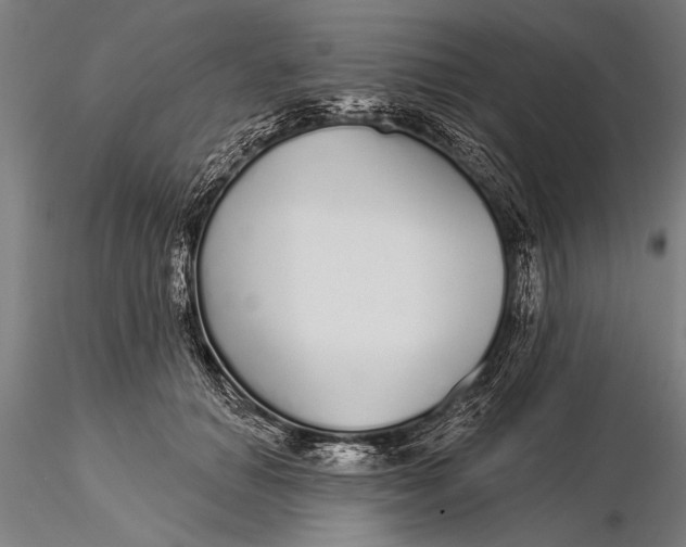 X0000116040654200912111441