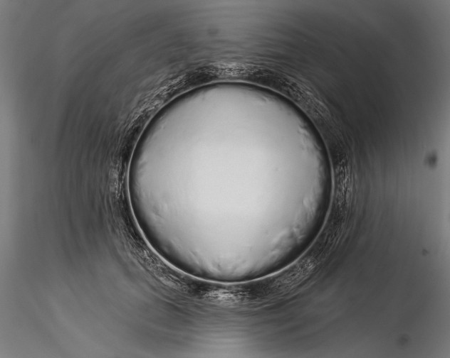 X0000116040655200912111441