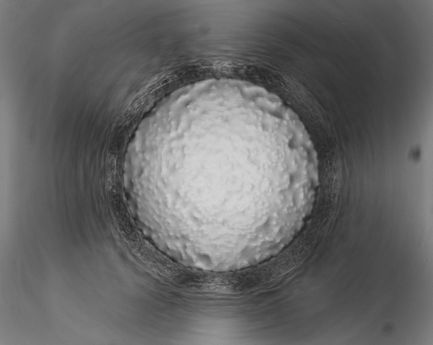 X0000116040656200912111441