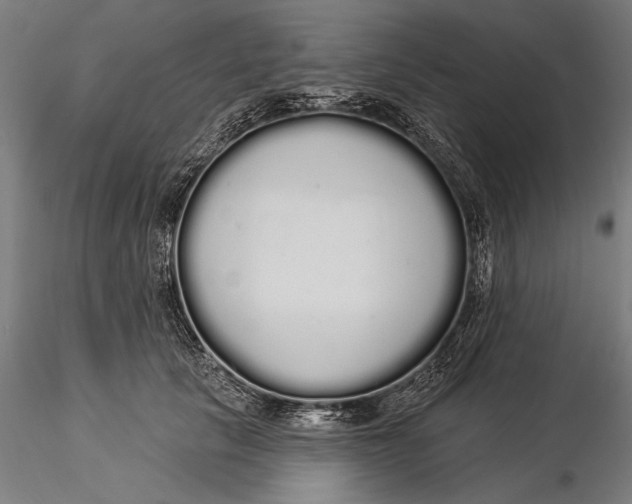 X0000116040657200912111441