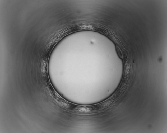 X0000116040658200912111441