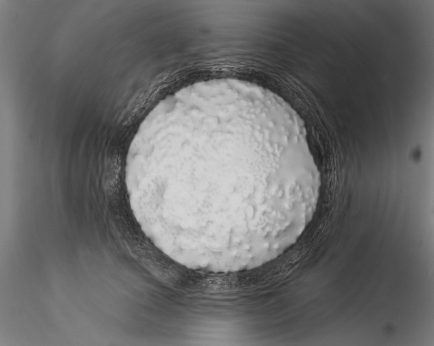 X0000116040660200912111441